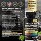 Green Seamoss & Shilajit Capsules - Elemental Vitality from Ocean & Mountain